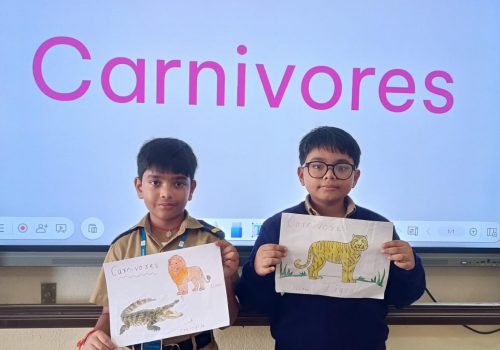 CARINOVORES